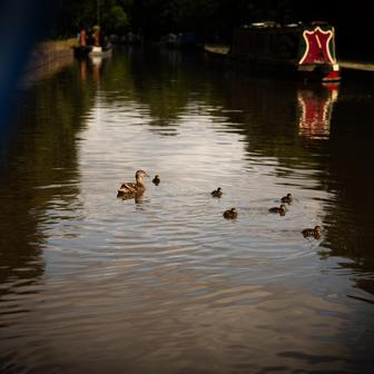 Tish a Josh, pětatřicátníci z Británie, vyměnili na začátku roku 2024 tradiční bydlení za 17metrový hausbót, aby unikli neustále rostoucím nájmům. 