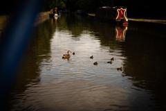 Tish a Josh, pětatřicátníci z Británie, vyměnili na začátku roku 2024 tradiční bydlení za 17metrový hausbót, aby unikli neustále rostoucím nájmům. 