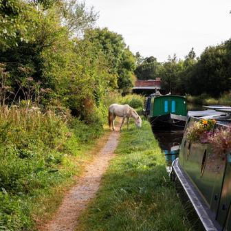 Tish a Josh, pětatřicátníci z Británie, vyměnili na začátku roku 2024 tradiční bydlení za 17metrový hausbót, aby unikli neustále rostoucím nájmům. 