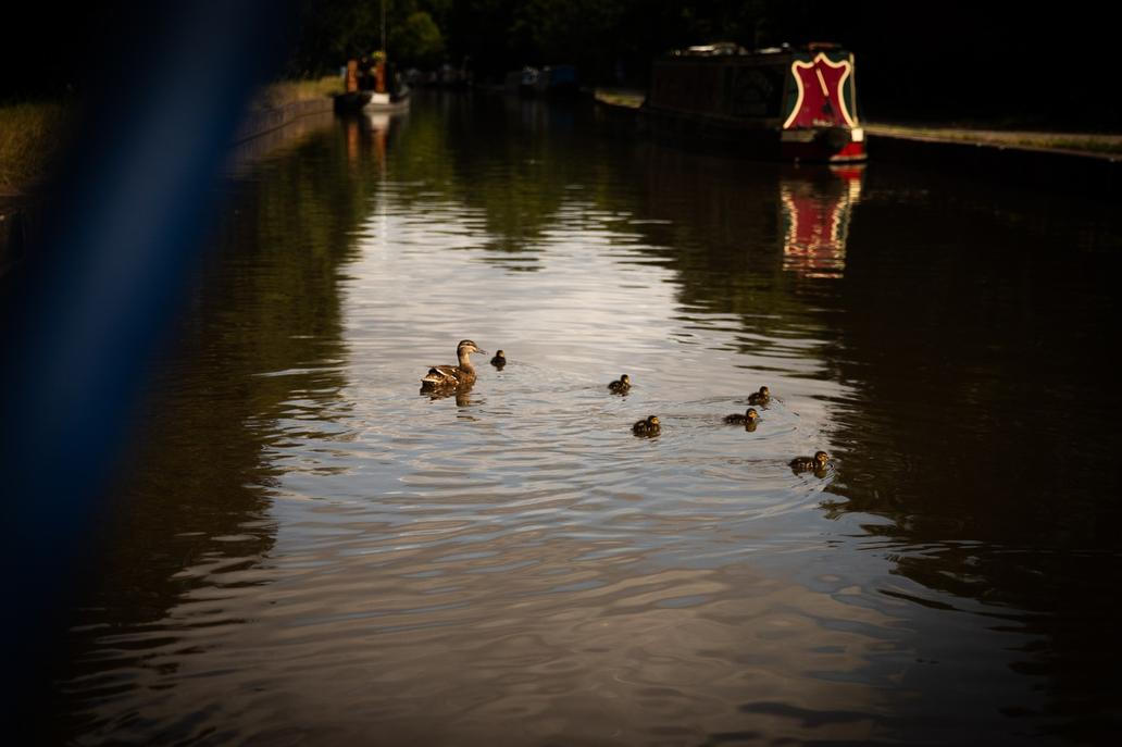 Tish a Josh, pětatřicátníci z Británie, vyměnili na začátku roku 2024 tradiční bydlení za 17metrový hausbót, aby unikli neustále rostoucím nájmům. 