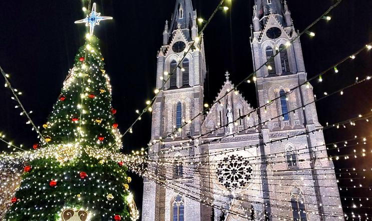 Vánoční strom na pražském náměstí Míru. 11. prosince 2025.