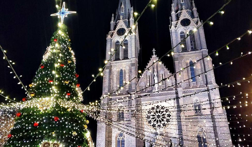 Vánoční strom na pražském náměstí Míru. 11. prosince 2025.