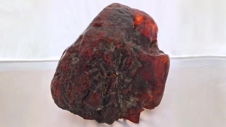 Odborníci odhadli stáří jantaru na 38 až 70 milionů let a jeho hodnotu na zhruba jeden milion eur. 