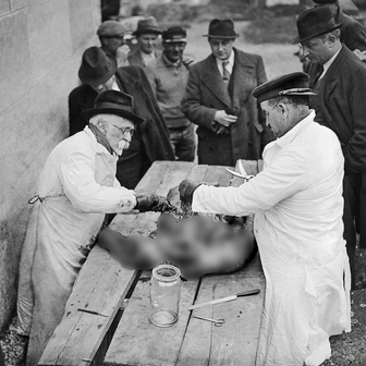 Práce patologa zahrnuje analýzu tkání, buněk a tělních tekutin, provádění pitev a diagnostiku nemocí. Zdravotní rizika zahrnují vystavení toxickým chemikáliím, jako je formaldehyd, který může způsobit rakovinu, respirační problémy nebo reprodukční toxicitu. Patologové čelí také psychické zátěži při práci s těly zemřelých a vysoké zrakové námaze při mikroskopických analýzách. Soudní lékaři provádějí pitvu na hřbitově ve Francii, rok 1938.