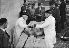 Práce patologa zahrnuje analýzu tkání, buněk a tělních tekutin, provádění pitev a diagnostiku nemocí. Zdravotní rizika zahrnují vystavení toxickým chemikáliím, jako je formaldehyd, který může způsobit rakovinu, respirační problémy nebo reprodukční toxicitu. Patologové čelí také psychické zátěži při práci s těly zemřelých a vysoké zrakové námaze při mikroskopických analýzách. Soudní lékaři provádějí pitvu na hřbitově ve Francii, rok 1938.