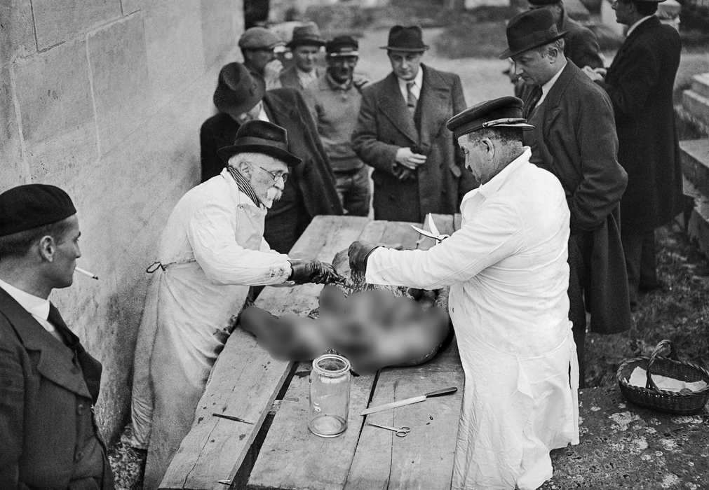 Práce patologa zahrnuje analýzu tkání, buněk a tělních tekutin, provádění pitev a diagnostiku nemocí. Zdravotní rizika zahrnují vystavení toxickým chemikáliím, jako je formaldehyd, který může způsobit rakovinu, respirační problémy nebo reprodukční toxicitu. Patologové čelí také psychické zátěži při práci s těly zemřelých a vysoké zrakové námaze při mikroskopických analýzách. Soudní lékaři provádějí pitvu na hřbitově ve Francii, rok 1938.