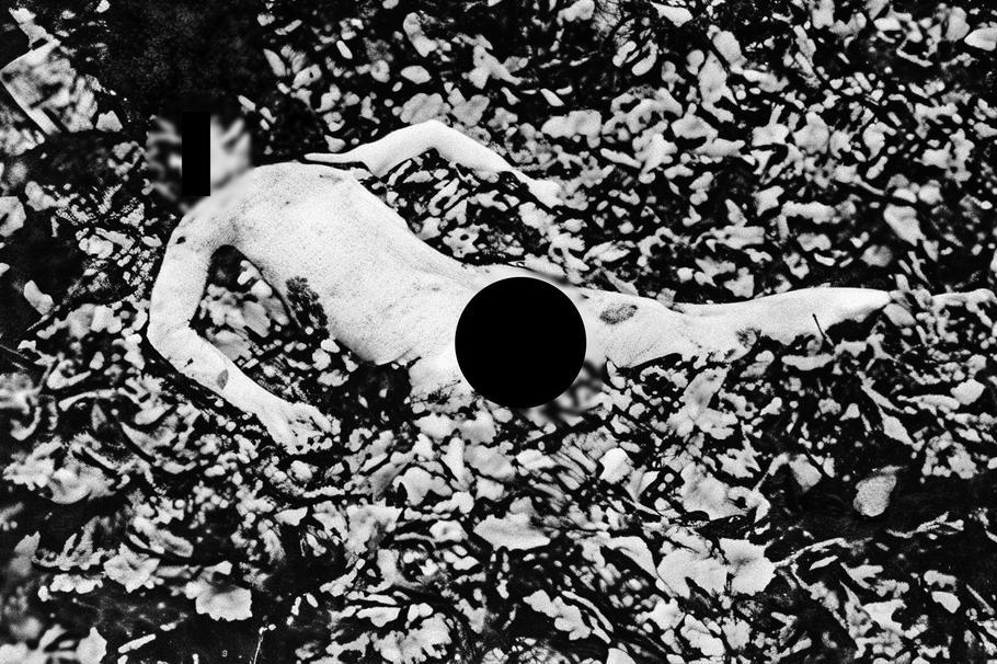 Policejní fotografie oběti z místa činu.