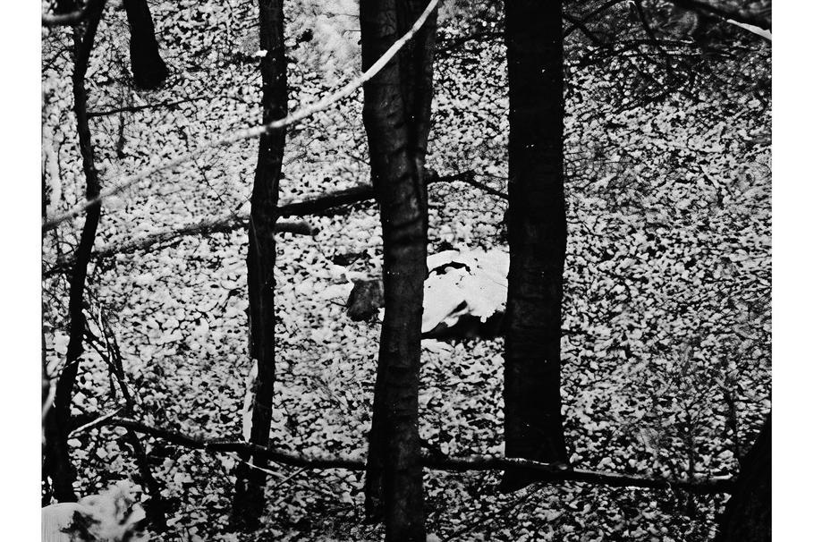 Policejní fotografie oběti z místa činu.