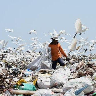 Pracovníci na skládkách třídí odpad a sbírají recyklovatelné materiály. Jsou vystaveni ostrým předmětům, toxickým látkám a biologickým rizikům, například nakažlivým nemocem. Pracují v nesnesitelném zápachu a často v horku nebo dešti. Skládka na předměstí srílanského Kolomba, 20. dubna 2017.