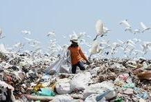 Pracovníci na skládkách třídí odpad a sbírají recyklovatelné materiály. Jsou vystaveni ostrým předmětům, toxickým látkám a biologickým rizikům, například nakažlivým nemocem. Pracují v nesnesitelném zápachu a často v horku nebo dešti. Skládka na předměstí srílanského Kolomba, 20. dubna 2017.