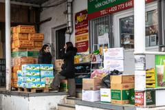 Na zhruba 35 hektarech se tu rozkládá největší vietnamská čtvrť ve střední Evropě.