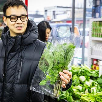 Uvnitř si prohlížíme cizokrajnou zeleninu, například různé odrůdy zelí pak choi, jedlou chryzantému, asijský celer, čajot a zimní meloun.
