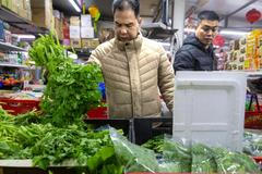 Kromě známého koriandru, kopru či máty tu objevujeme i klasnatku a perilu.