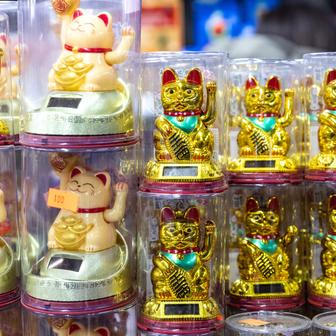 „Rýžovar je ve vietnamské kultuře jako člen rodiny. Musí být kvalitní a musí toho hodně vydržet a umět,“ vtipkuje Jerry. Vietnamci v něm kromě rýže totiž rádi vaří i polévky či buchty.