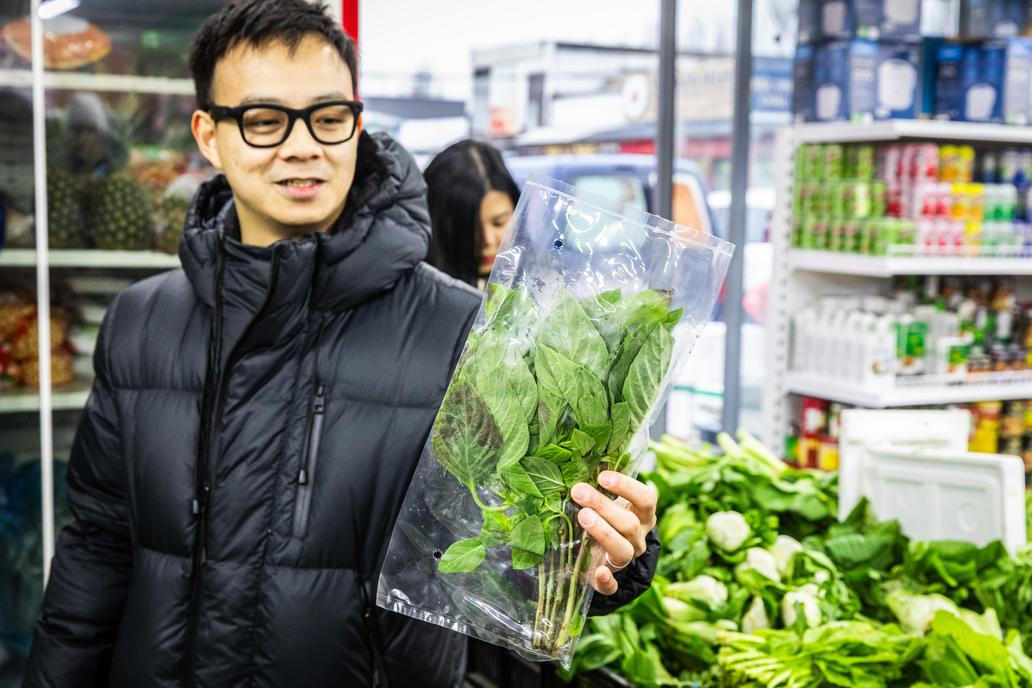 Uvnitř si prohlížíme cizokrajnou zeleninu, například různé odrůdy zelí pak choi, jedlou chryzantému, asijský celer, čajot a zimní meloun.