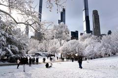 Já sním o Vánocích bílých