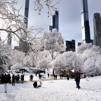 Já sním o Vánocích bílých