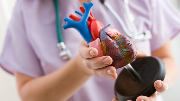 transplantace, srdce, orgán