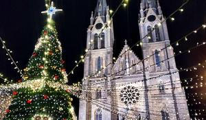 Vánoční strom na pražském náměstí Míru. 11. prosince 2025.