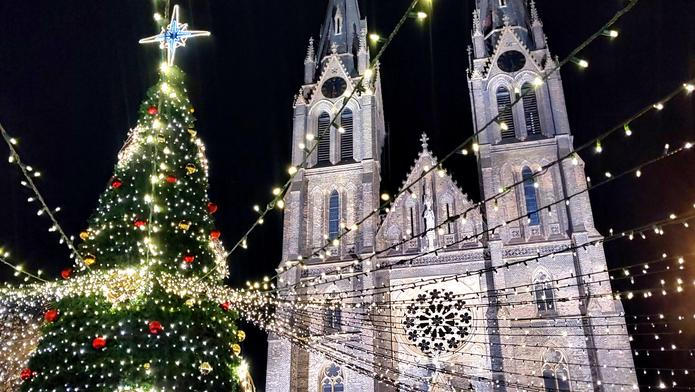 Vánoční strom na pražském náměstí Míru. 11. prosince 2025.