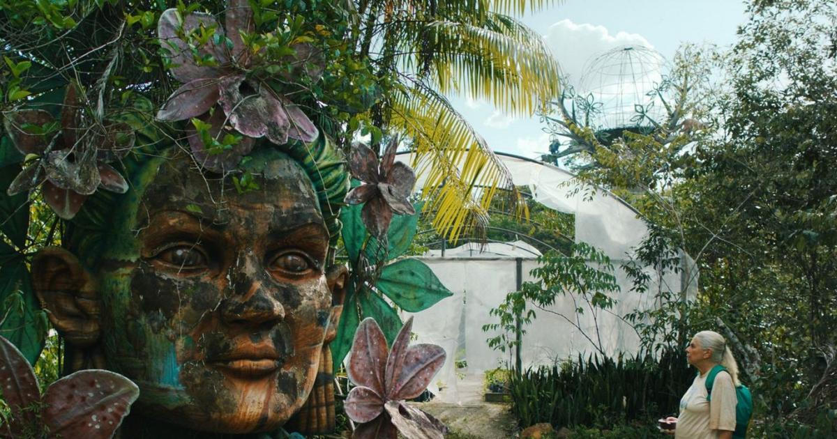 Nenechte si ujít: Magický film Modrou stezkou i divadelní satira s Miroslavem Hanušem