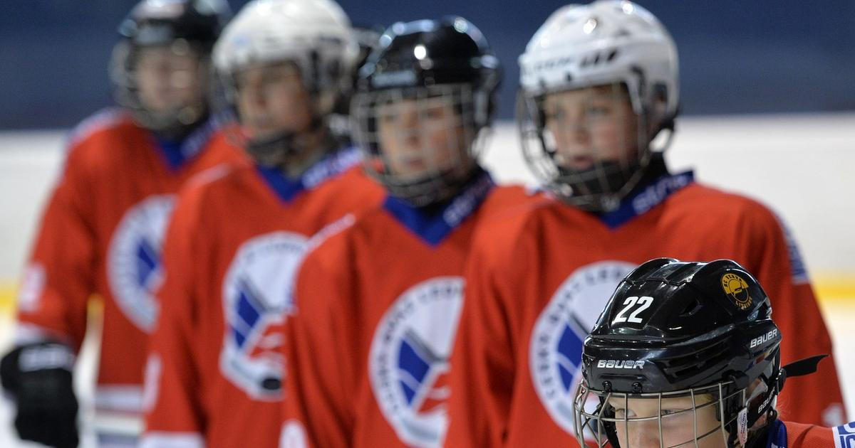 "Musí se zamezit brutalitě." Experti hodnotí kontroverzní svazové rozhodnutí