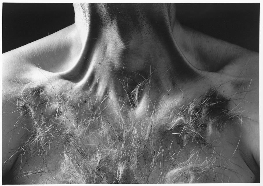 Ze souboru Bez názvu, 1996_