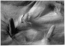 Ze souboru Bez názvu, 1996