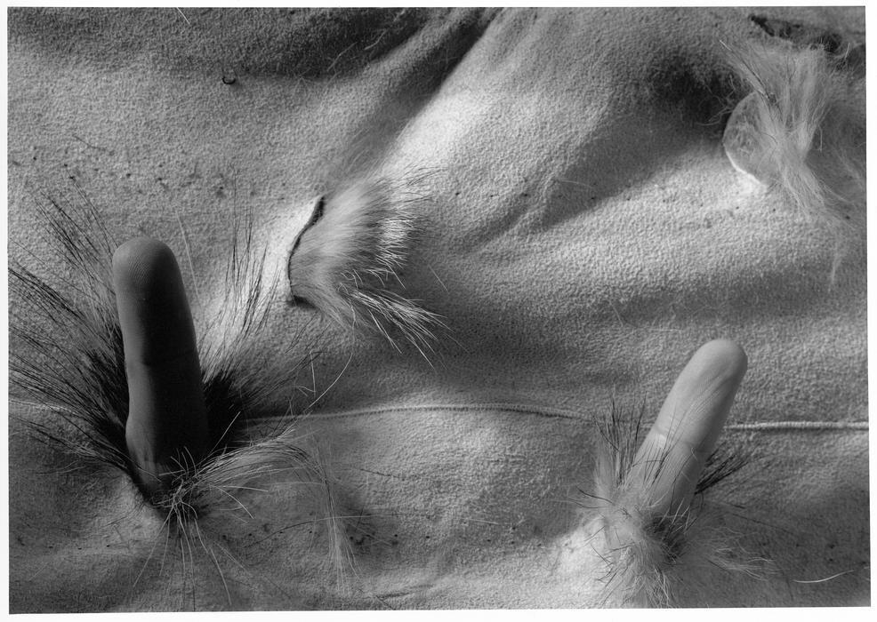 Ze souboru Bez názvu, 1996