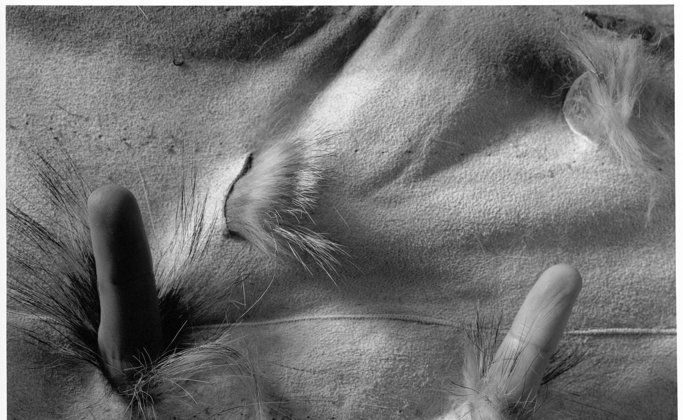 Ze souboru Bez názvu, 1996