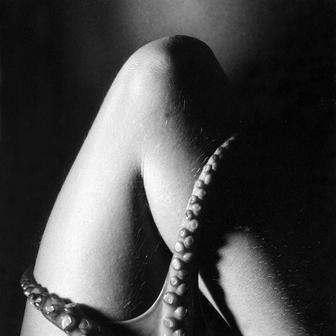 Ze souboru Bestiář pro dva, 1994