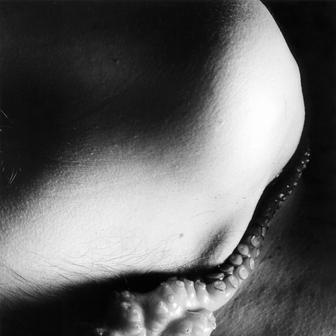 Ze souboru Bestiář pro dva, 1994