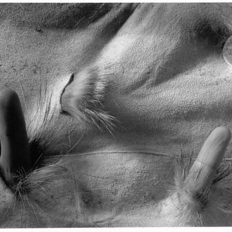 Ze souboru Bez názvu, 1996