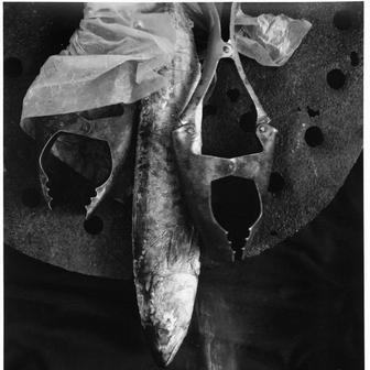 Ze souboru Bez názvu, 1992