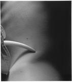 Ze souboru Bez nazvu, 1993