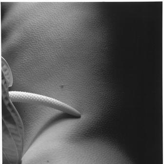 Ze souboru Bez nazvu, 1993