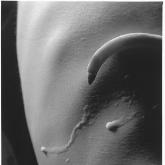 Ze souboru Bez nazvu, 1993