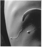 Ze souboru Bez nazvu, 1993