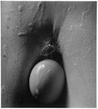 Ze souboru Bez nazvu, 1993