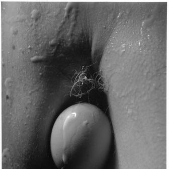 Ze souboru Bez nazvu, 1993