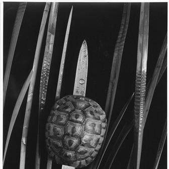 Ze souboru Bez názvu, 1991