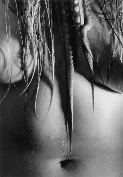 Ze souboru Bestiář pro dva, 1994