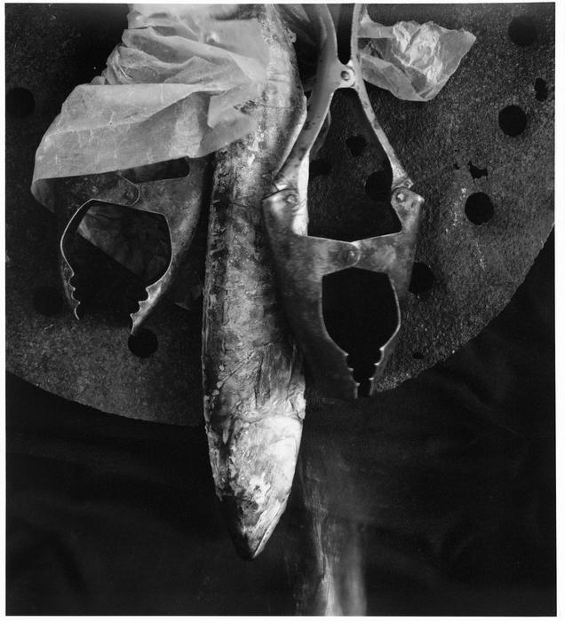 Ze souboru Bez názvu, 1992