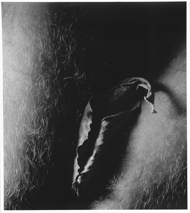 Ze souboru Bez nazvu, 1993