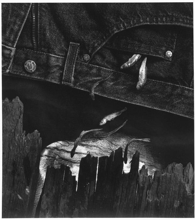 Ze souboru Bez názvu, 1991