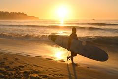 Škoda tyhle fotky minout: Král za pípou, setkání lvů nebo padlá socha Svobody