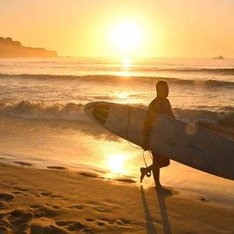Škoda tyhle fotky minout: Král za pípou, setkání lvů nebo padlá socha Svobody