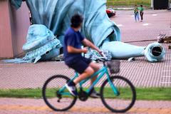 Škoda tyhle fotky minout: Král za pípou, setkání lvů nebo padlá socha Svobody