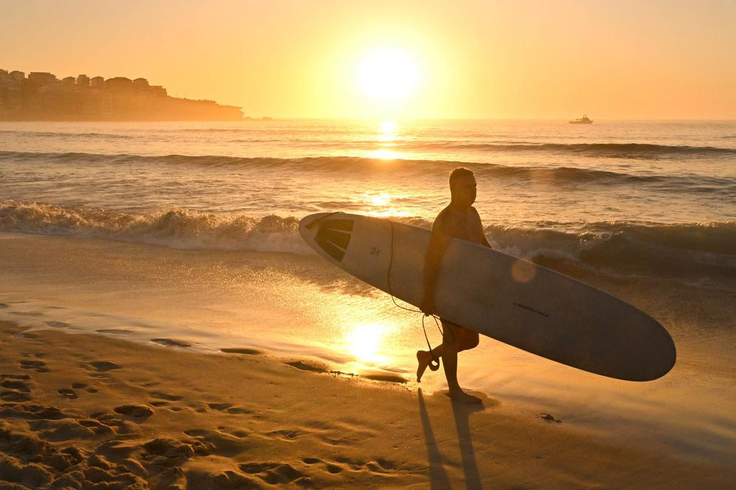 Škoda tyhle fotky minout: Král za pípou, setkání lvů nebo padlá socha Svobody