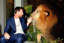 Škoda tyhle fotky minout: Král za pípou, setkání lvů nebo padlá Socha Svobody